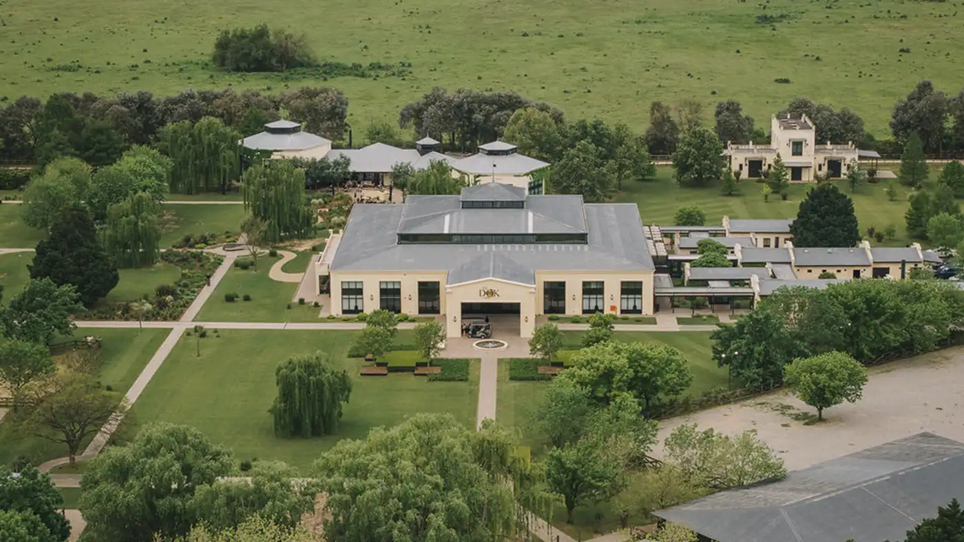 Recepción de invitados al aire libre