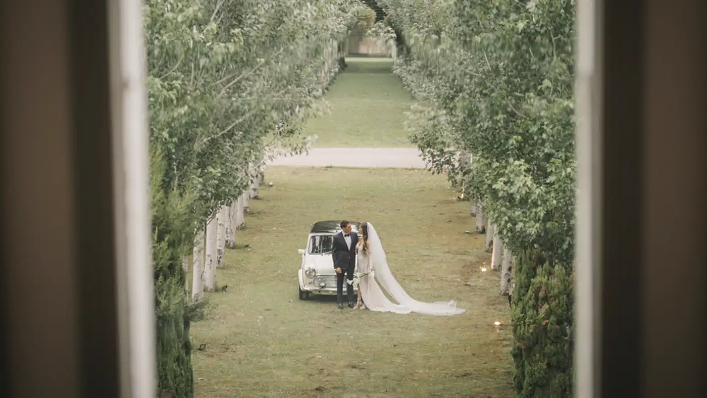 Show en vivo y animación para la pista de baile