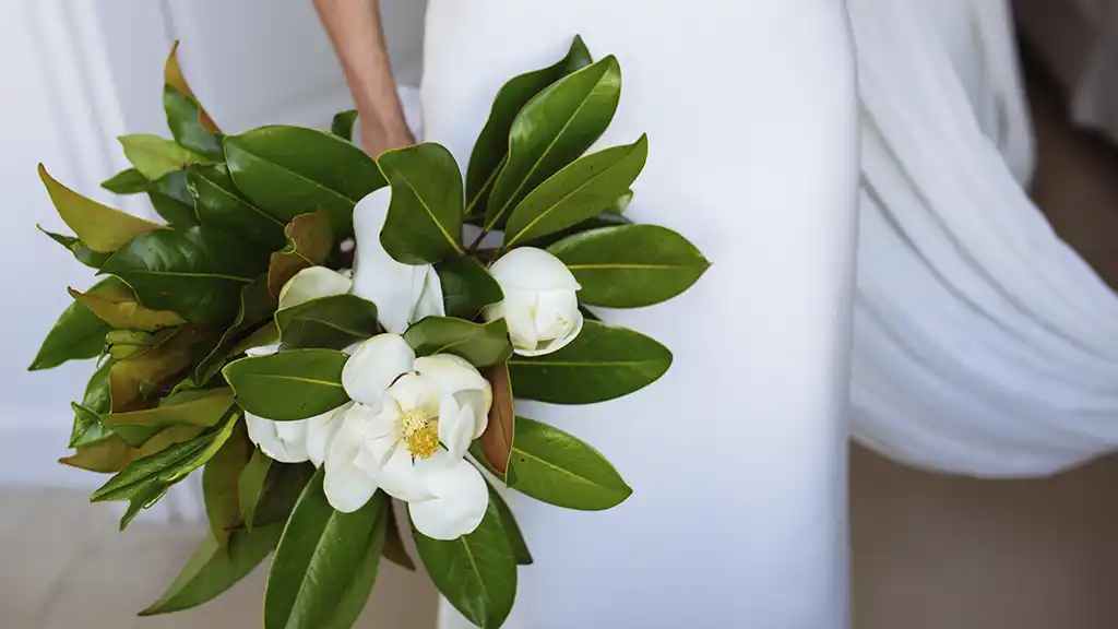 Servicio de organización express para eventos
